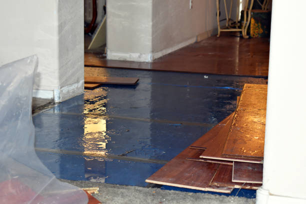 Professional Basement Flood Cleanup technician working in Tuscumbia, MO